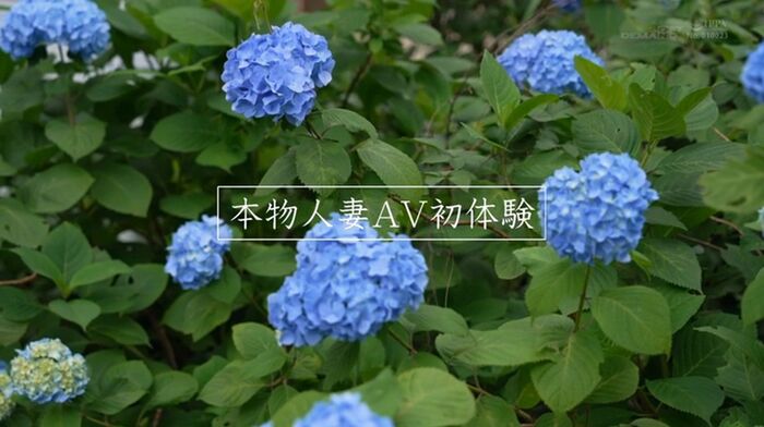 Aria Himeji Super store manager AV debut 18th image