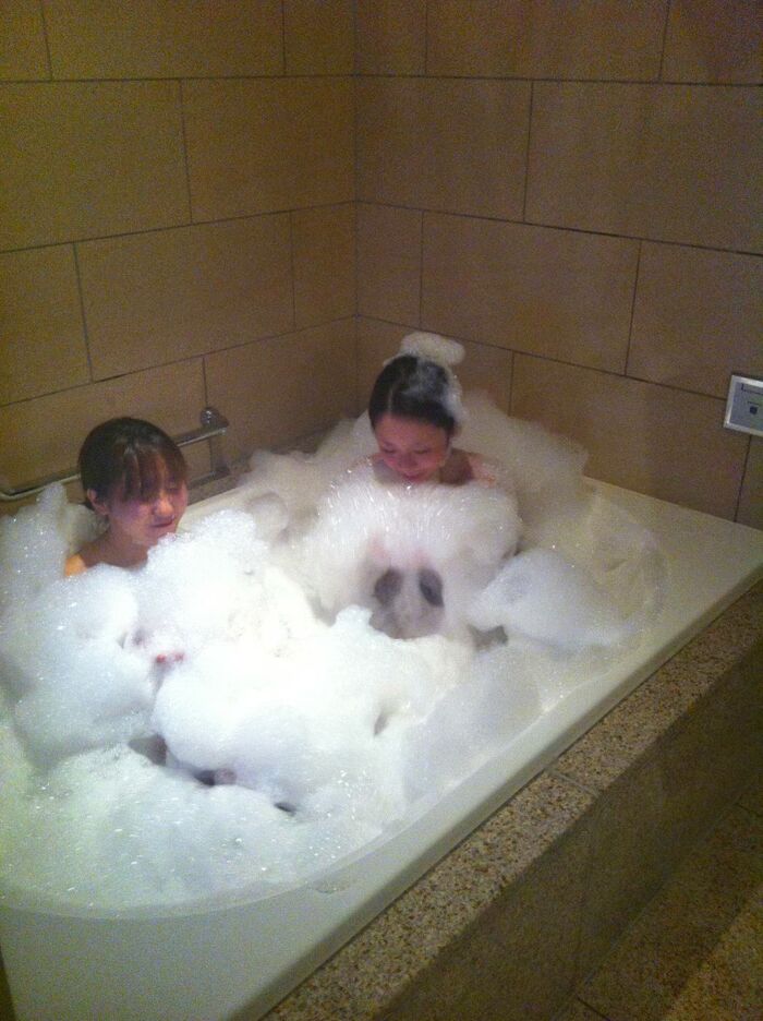 Bath girls are sick ww 6th image